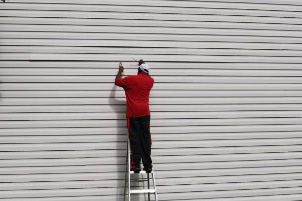 Best Historical Building Siding Restoration  in Duluth, MN