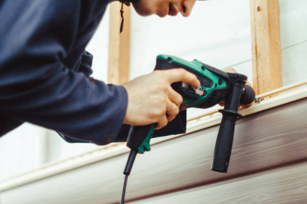 Best Vinyl Siding Installation  in Duluth, MN